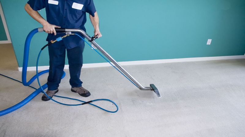 Reviewing Options For Residential Carpet Cleaning In Raleigh NC
