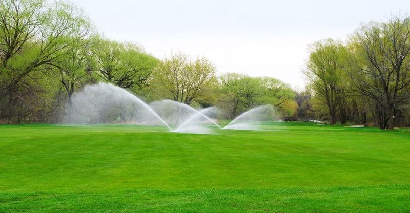 Discriminating Landscapers Only Want the Best in Wholesale Plants