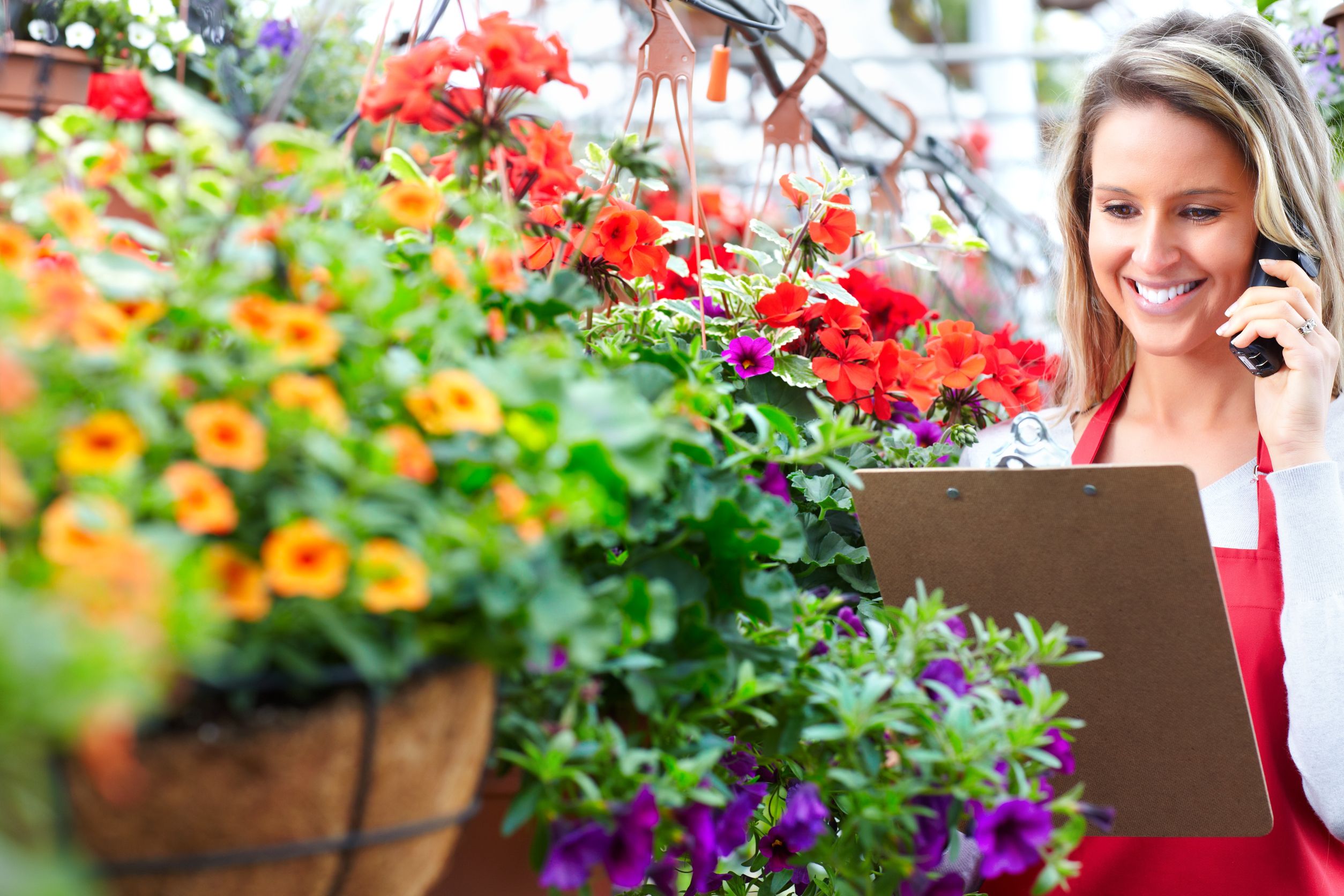 Best Tips for Picking Flower Arrangements in Berkeley