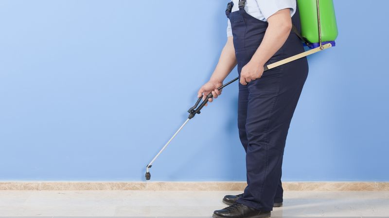 The Benefits of Hiring Professional Pest Control in Fort Myers, FL