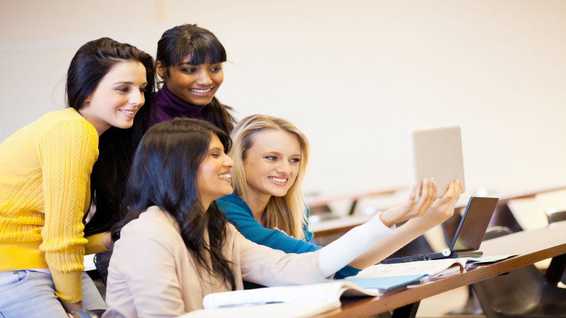 The Value of Career Development Educational Programs in Vienna, VA