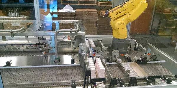 Reduced Labor Costs with an Automatic Robot Palletizing System