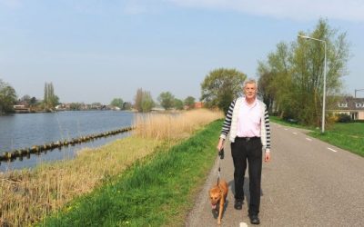 Dog Boarding In Manhattan: What To Expect For Your Pet’s Comfort And Safety Away From Home