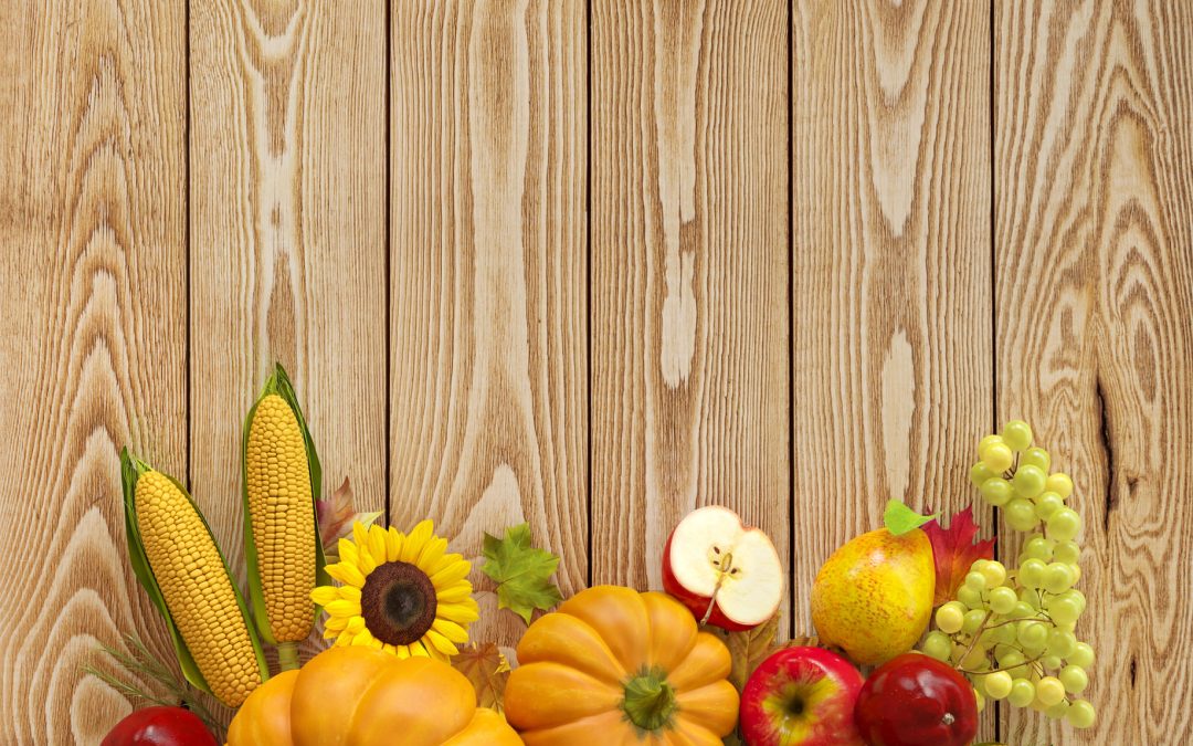 Capture Family Memories at Pumpkin Patch Farm in Weston, MO with Fun Fall Activities