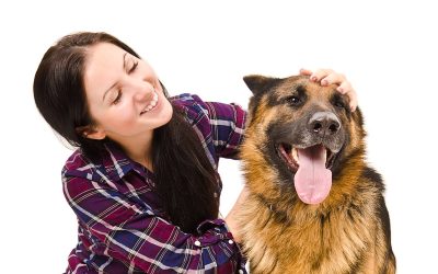 Benefits You Can Expect from Professional Dog Grooming Services Madison AL