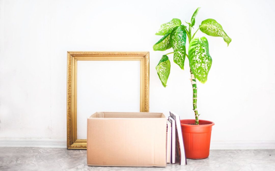 Supporting Education and Health Initiatives via Online Donation in India