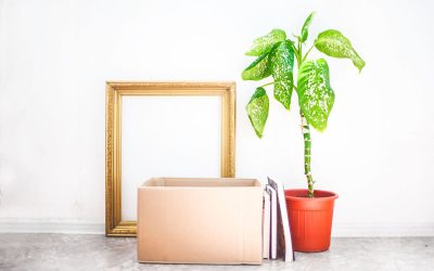 Supporting Education and Health Initiatives via Online Donation in India