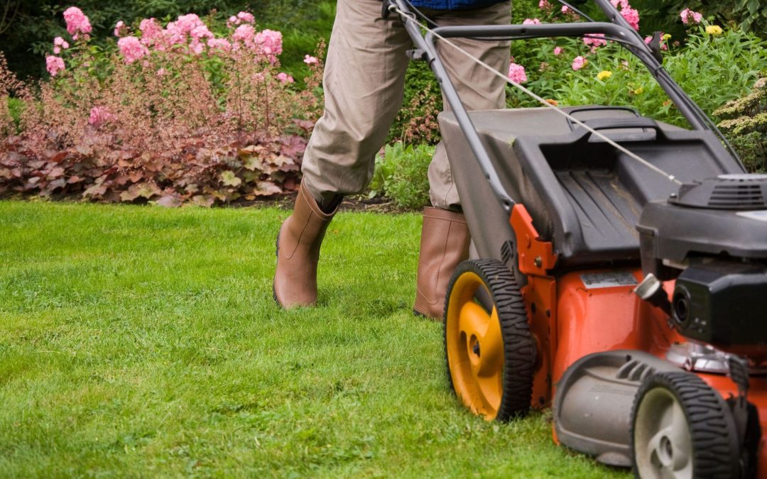 Lawn Care Services in Alpharetta, GA: Keeping Your Outdoors Beautiful