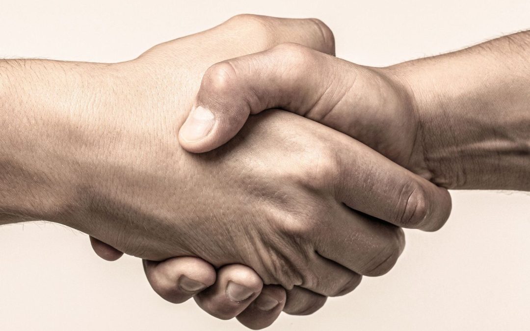 Understanding Ngo Trust India for Effective Social Change in Local Communities