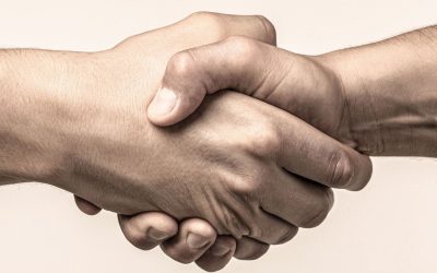 Understanding Ngo Trust India for Effective Social Change in Local Communities