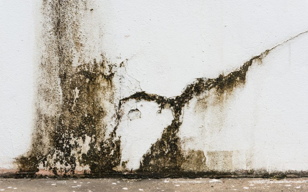 Stress-Free Living Begins with Emergency Water Damage Cleanup in Bolingbrook, IL