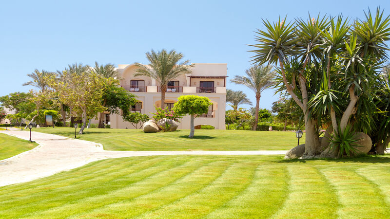 Choosing a Reliable Sod Farm in Riverside CA for a Healthier Lawn