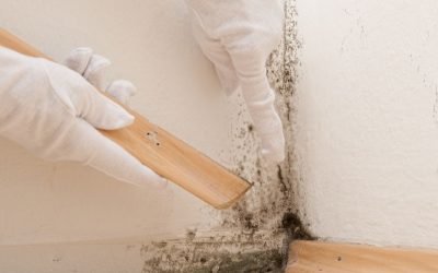 Why Choosing a Water Damage Restoration Contractor in Vero Beach, FL, Saves Your Home