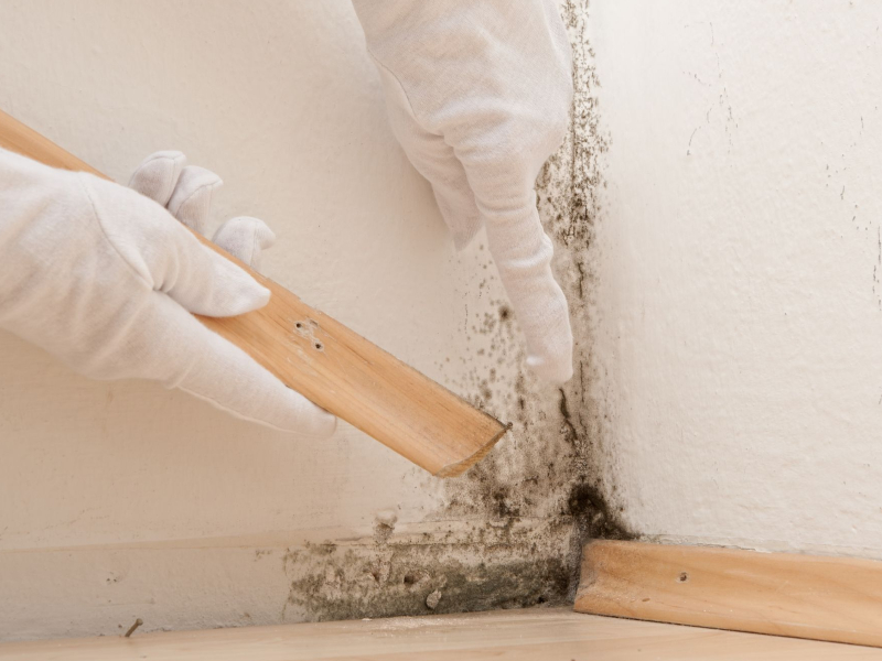 Why Choosing a Water Damage Restoration Contractor in Vero Beach, FL, Saves Your Home