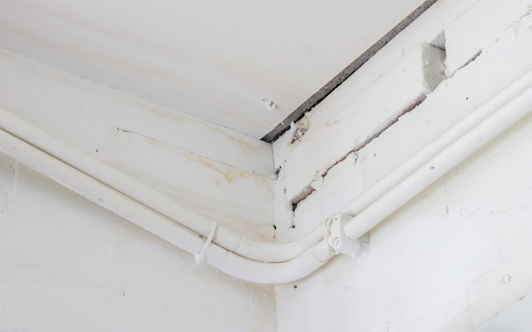 Home Recovery Made Simple with Fire Damage Restoration in Glen Ellyn, IL