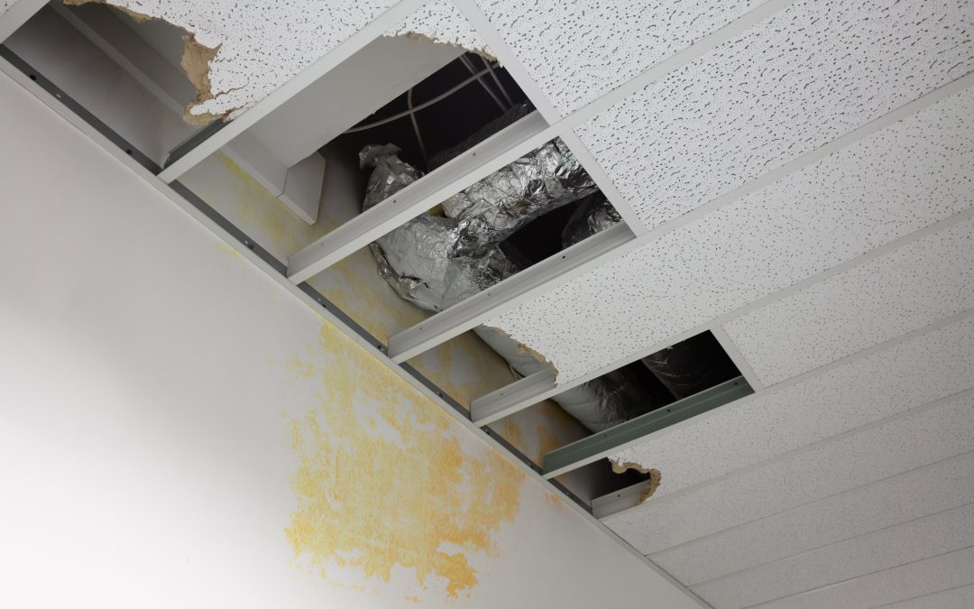 Homeowners Rely on Water Damage Cleanup in Orland Park, IL for Peace of Mind