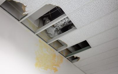 Homeowners Rely on Water Damage Cleanup in Orland Park, IL for Peace of Mind