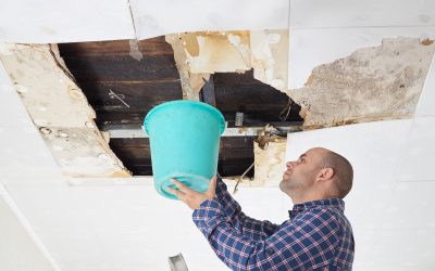 Essential Steps Homeowners Take for Water Damage Cleanup in Lombard, IL for Lasting Results