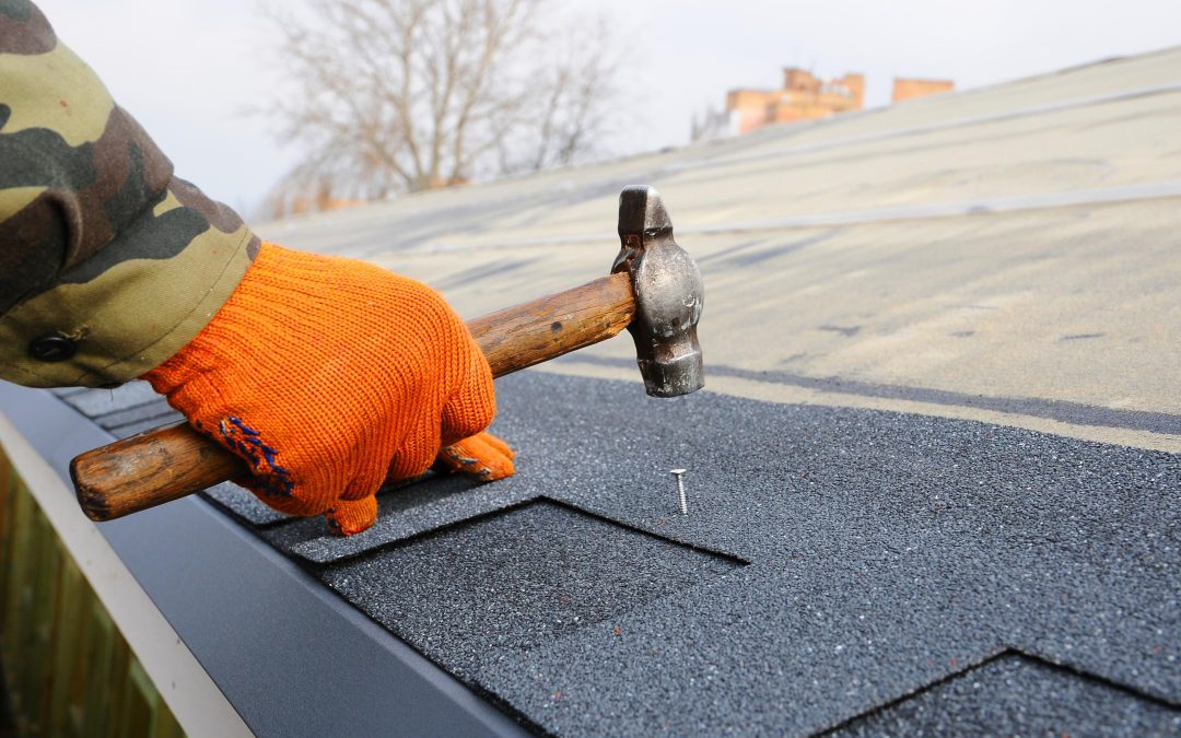 Choosing Metal Roofing in Lakeland, FL Means Reliability Against Storms and Heat