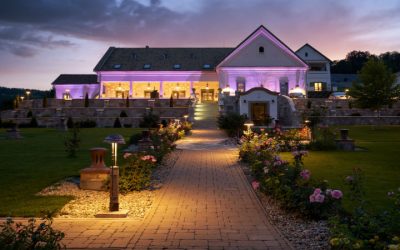 Creative Solutions from Landscapers In Hillsborough, NJ for Effortless Lawn Care