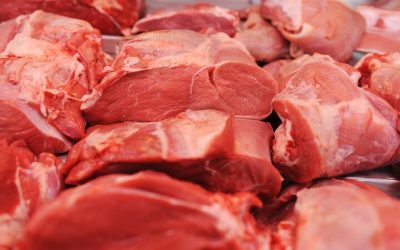Key Questions for Evaluating Wholesale Meat Suppliers in New York