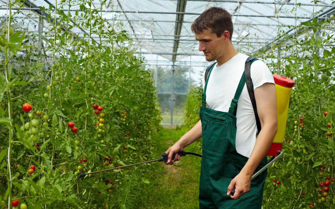 Understanding how aquatic herbicides restore balance to lakes and ponds across the USA