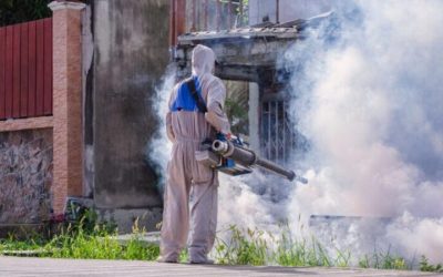How an Exterminator in Plymouth County, MA Can Make Your Home Pest-Free Permanently