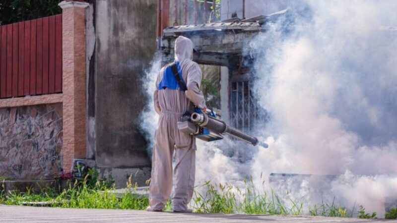 How an Exterminator in Plymouth County, MA Can Make Your Home Pest-Free Permanently